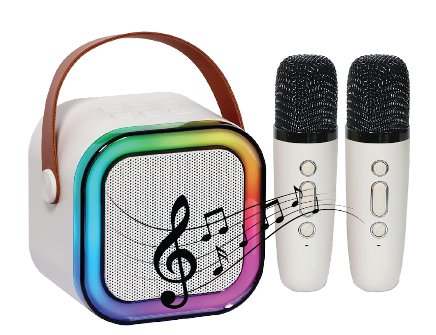 Portable Karaoke Speaker